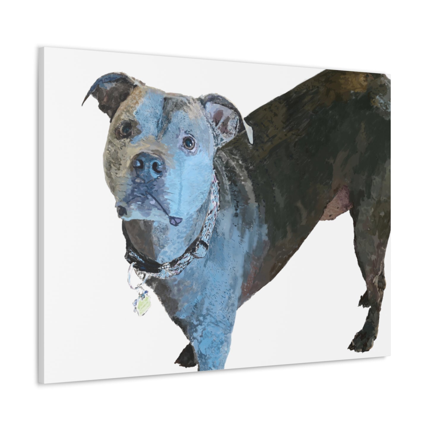 Enveloppements de galerie de toile Pitbull « Diesel »