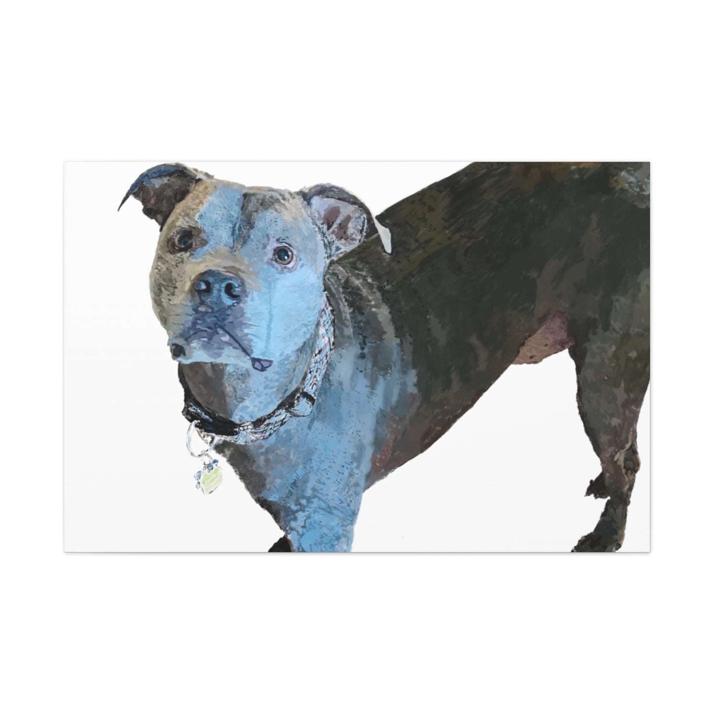 Envolturas de galería de lienzos de Pitbull “Diesel”