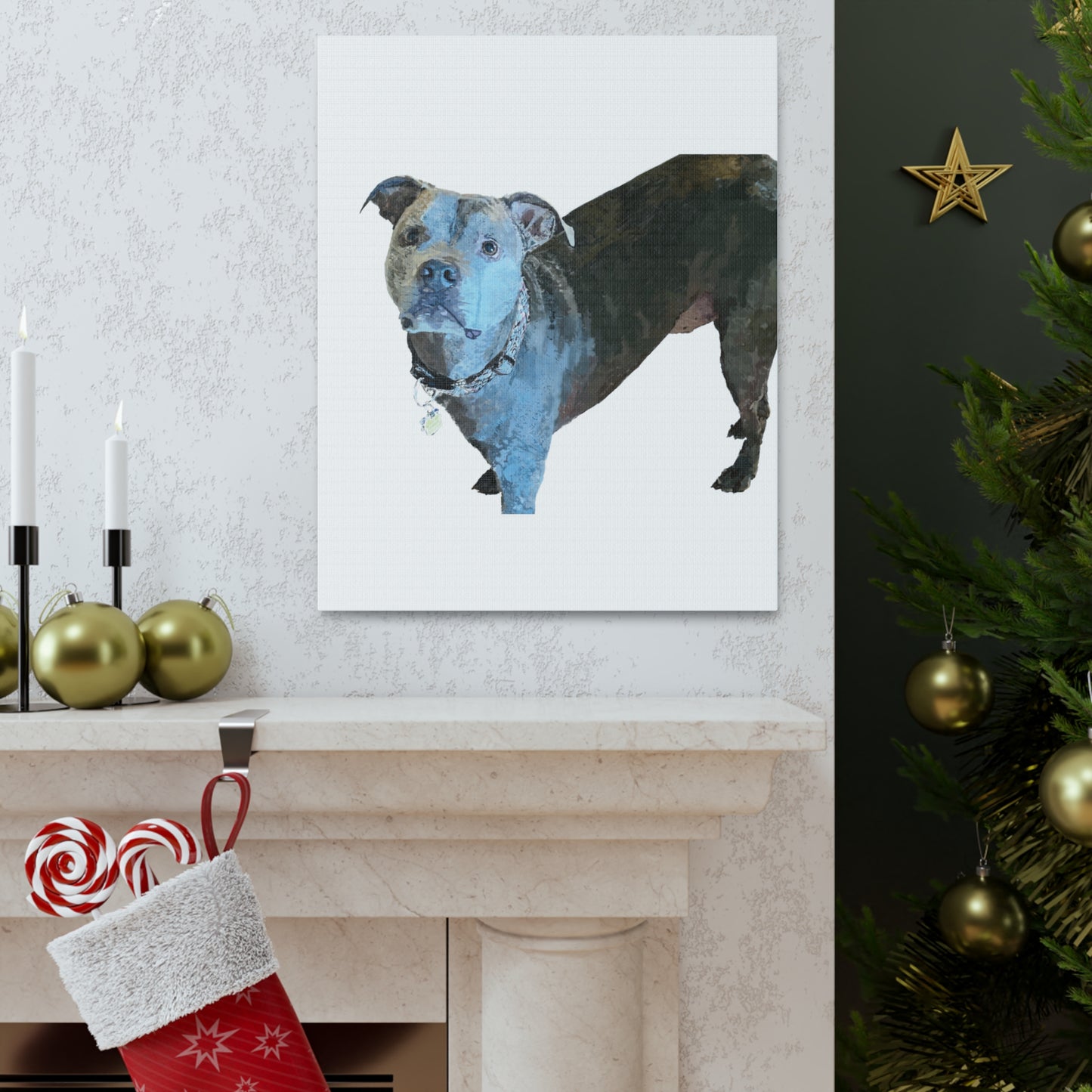 Envolturas de galería de lienzos de Pitbull “Diesel”