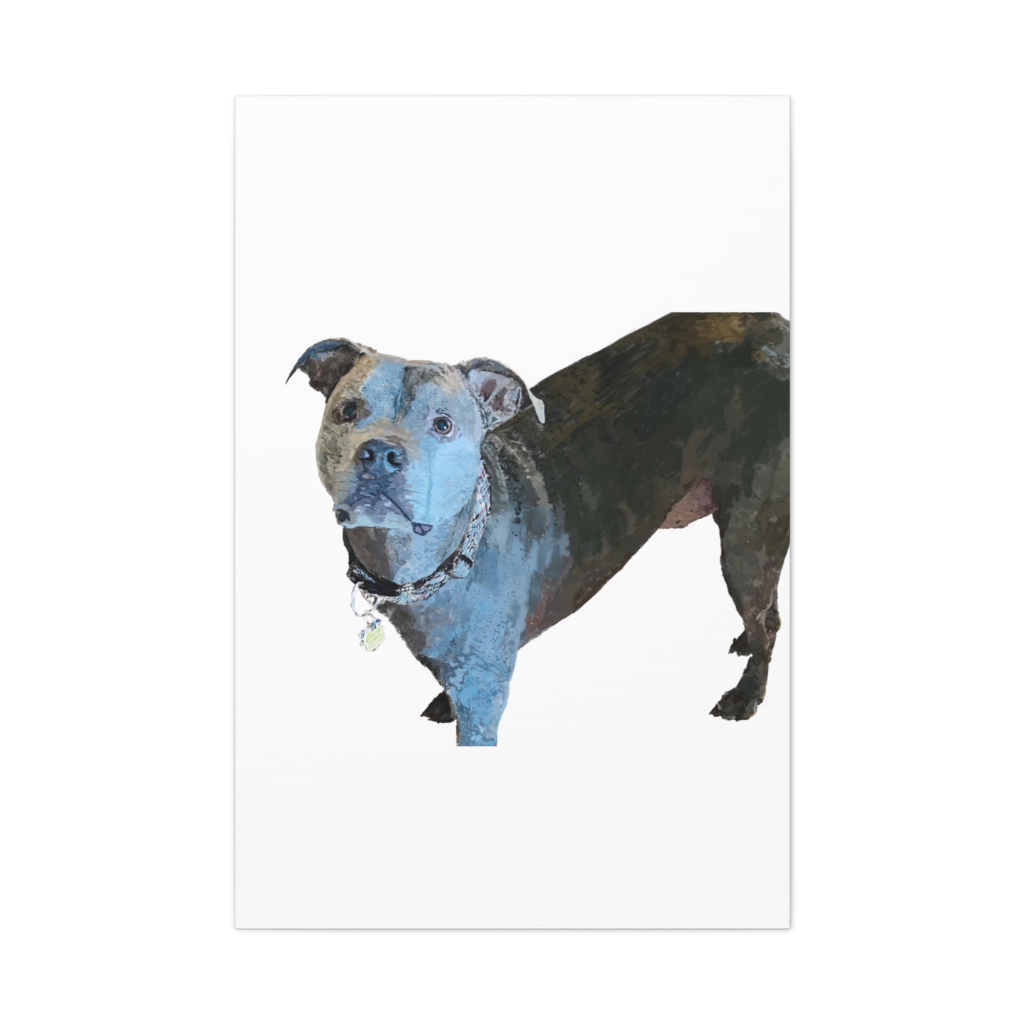 Envolturas de galería de lienzos de Pitbull “Diesel”