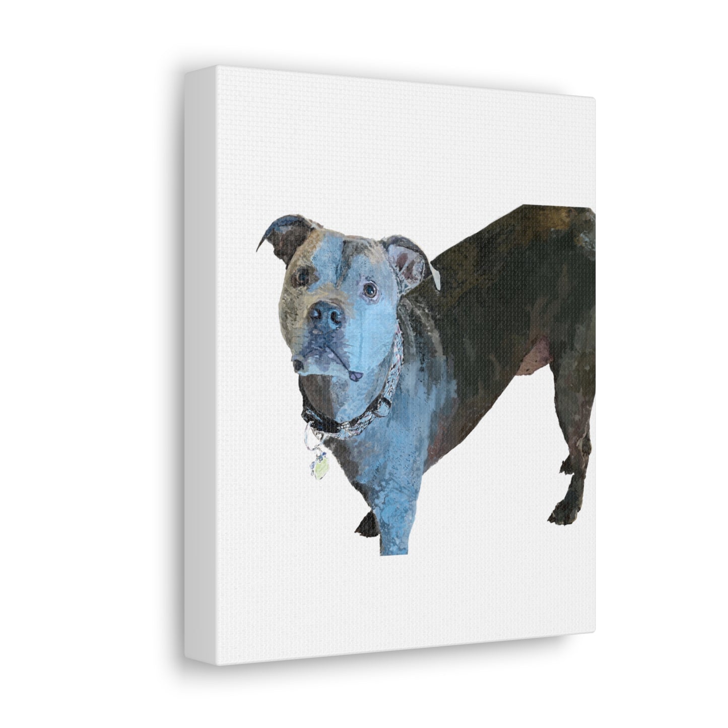 Envolturas de galería de lienzos de Pitbull “Diesel”