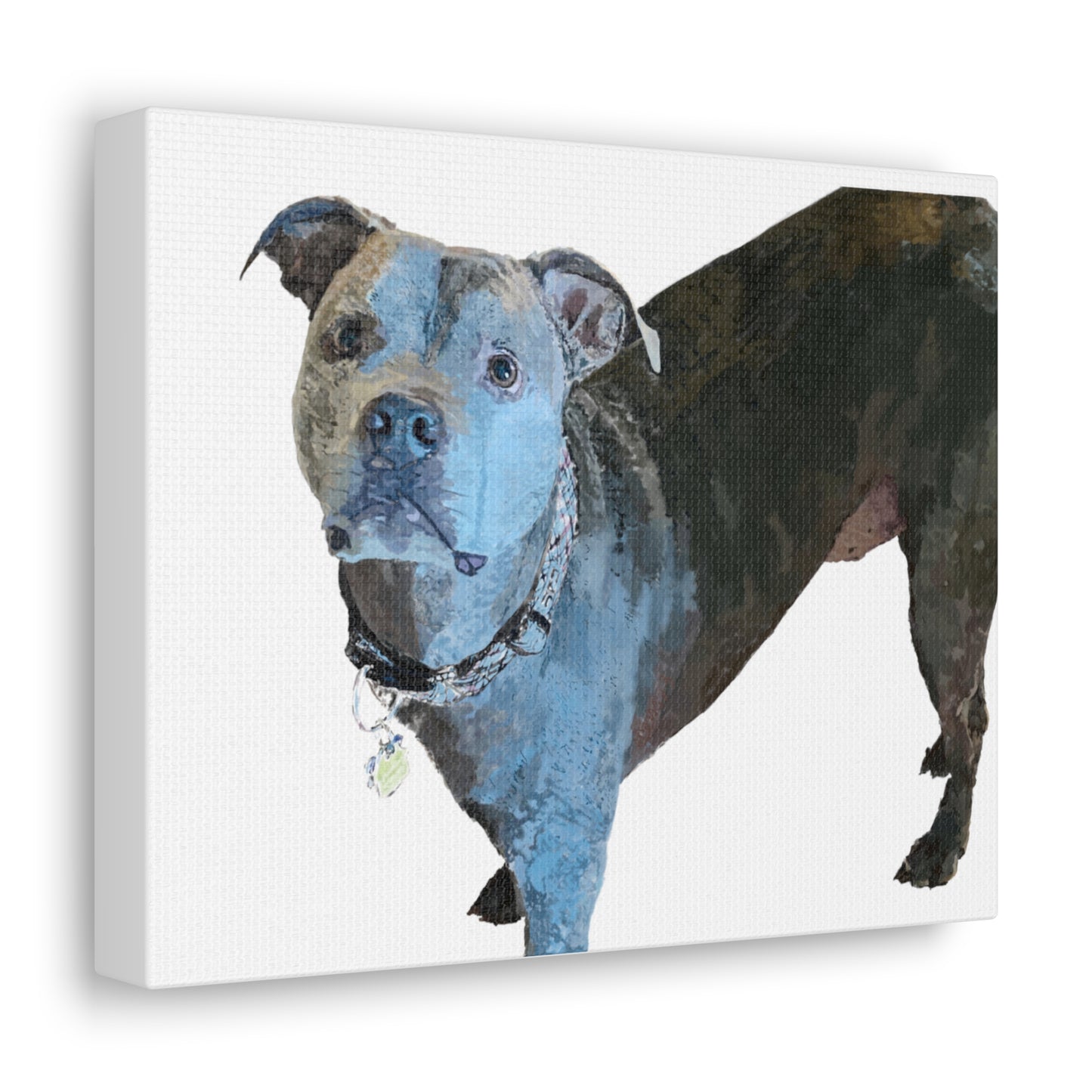 Envolturas de galería de lienzos de Pitbull “Diesel”