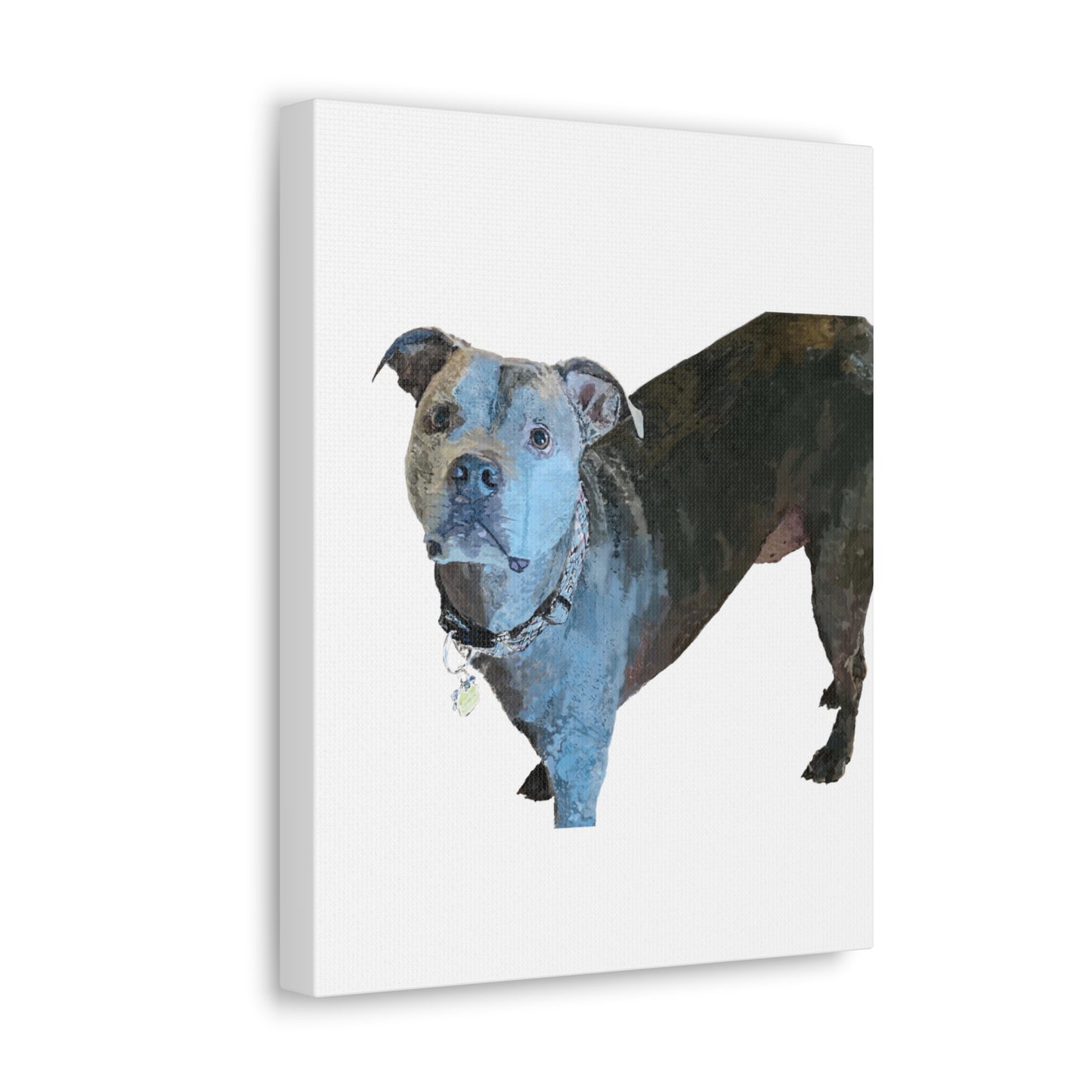 Envolturas de galería de lienzos de Pitbull “Diesel”