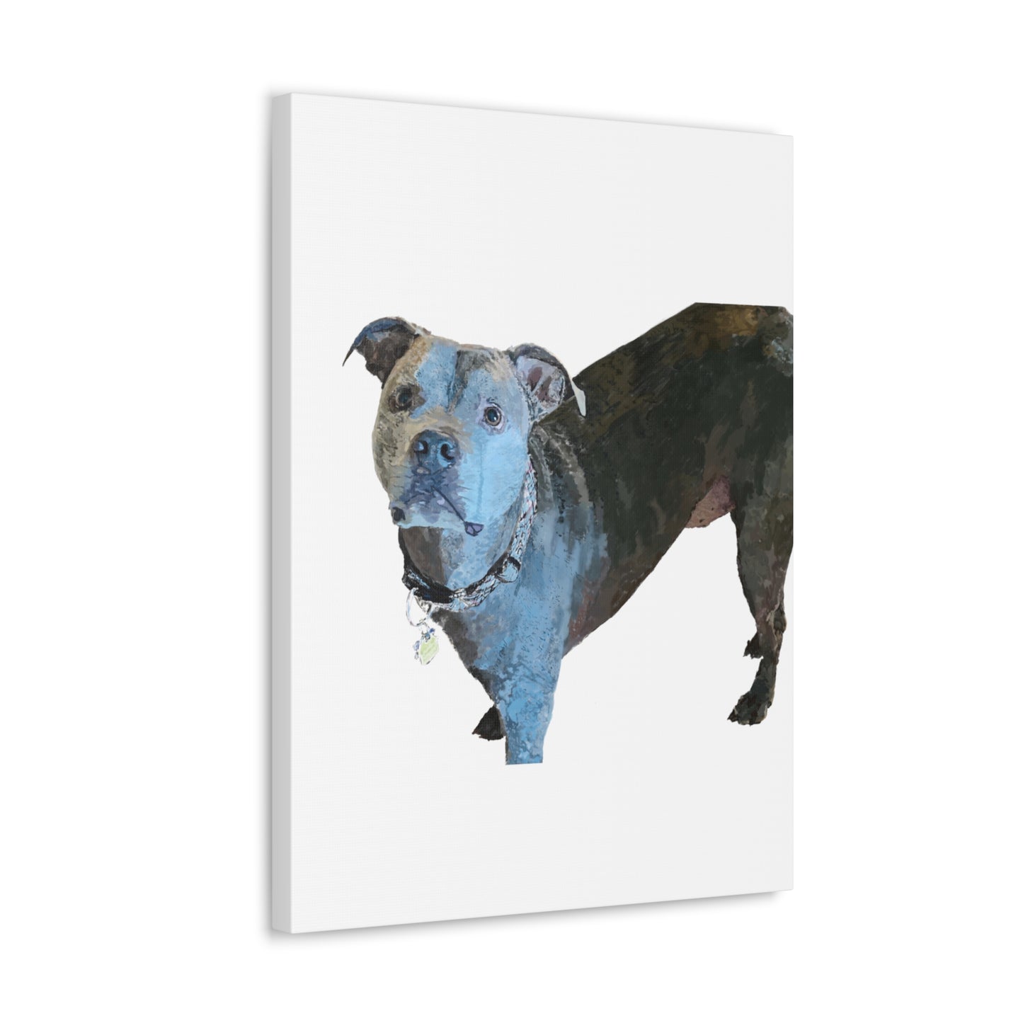 Envolturas de galería de lienzos de Pitbull “Diesel”