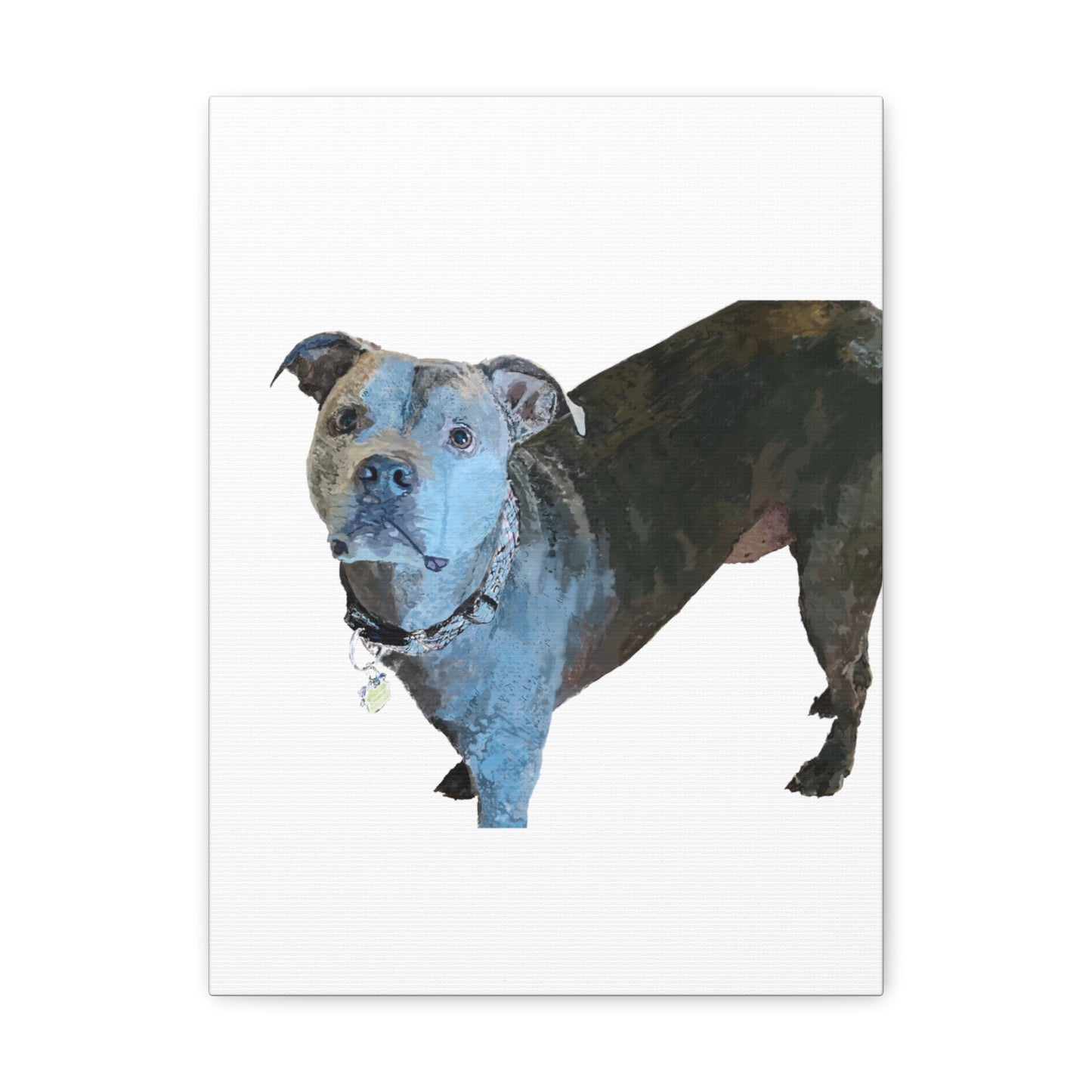 Envolturas de galería de lienzos de Pitbull “Diesel”