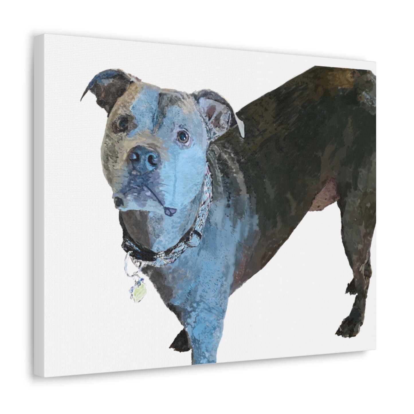 Envolturas de galería de lienzos de Pitbull “Diesel”