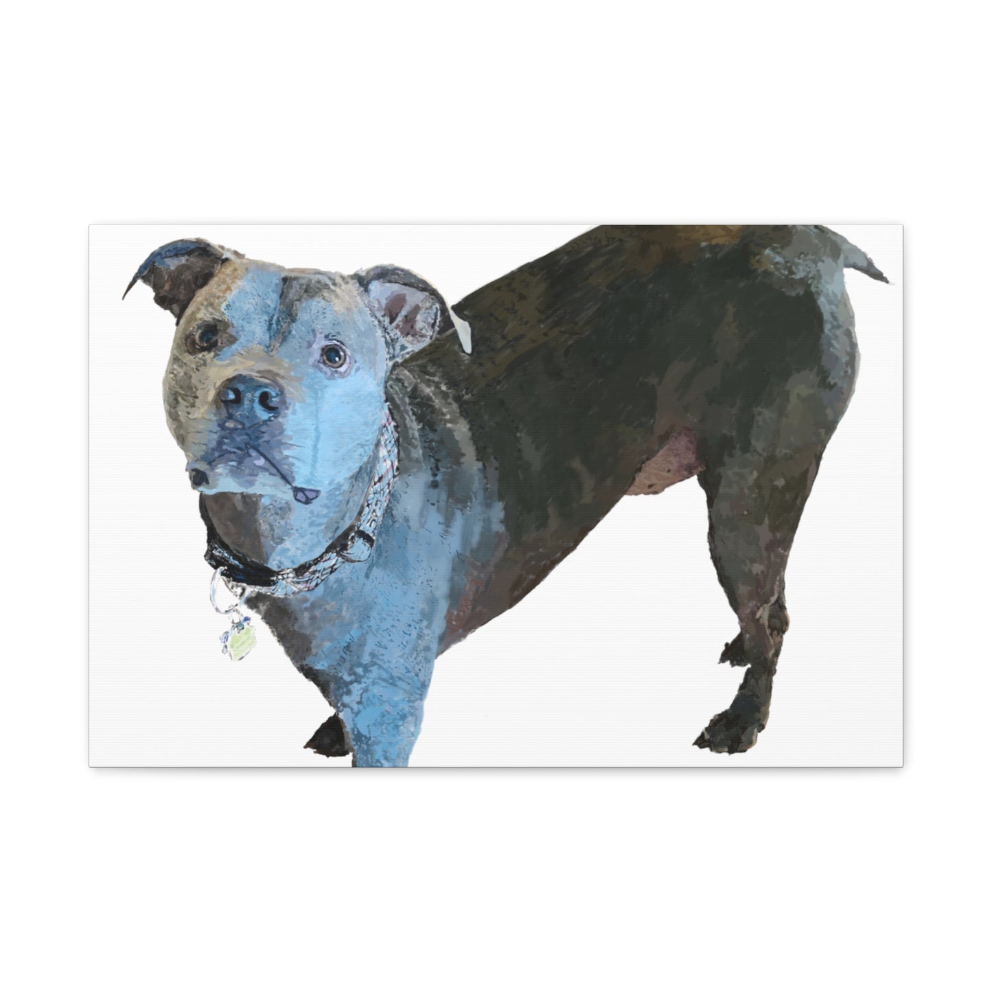 Envolturas de galería de lienzos de Pitbull “Diesel”