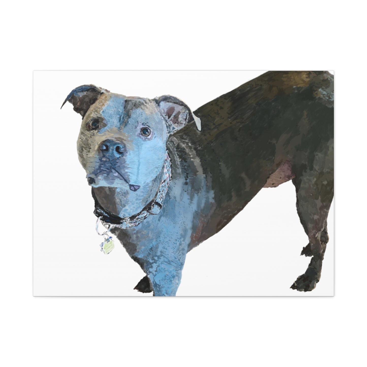 Enveloppements de galerie de toile Pitbull « Diesel »