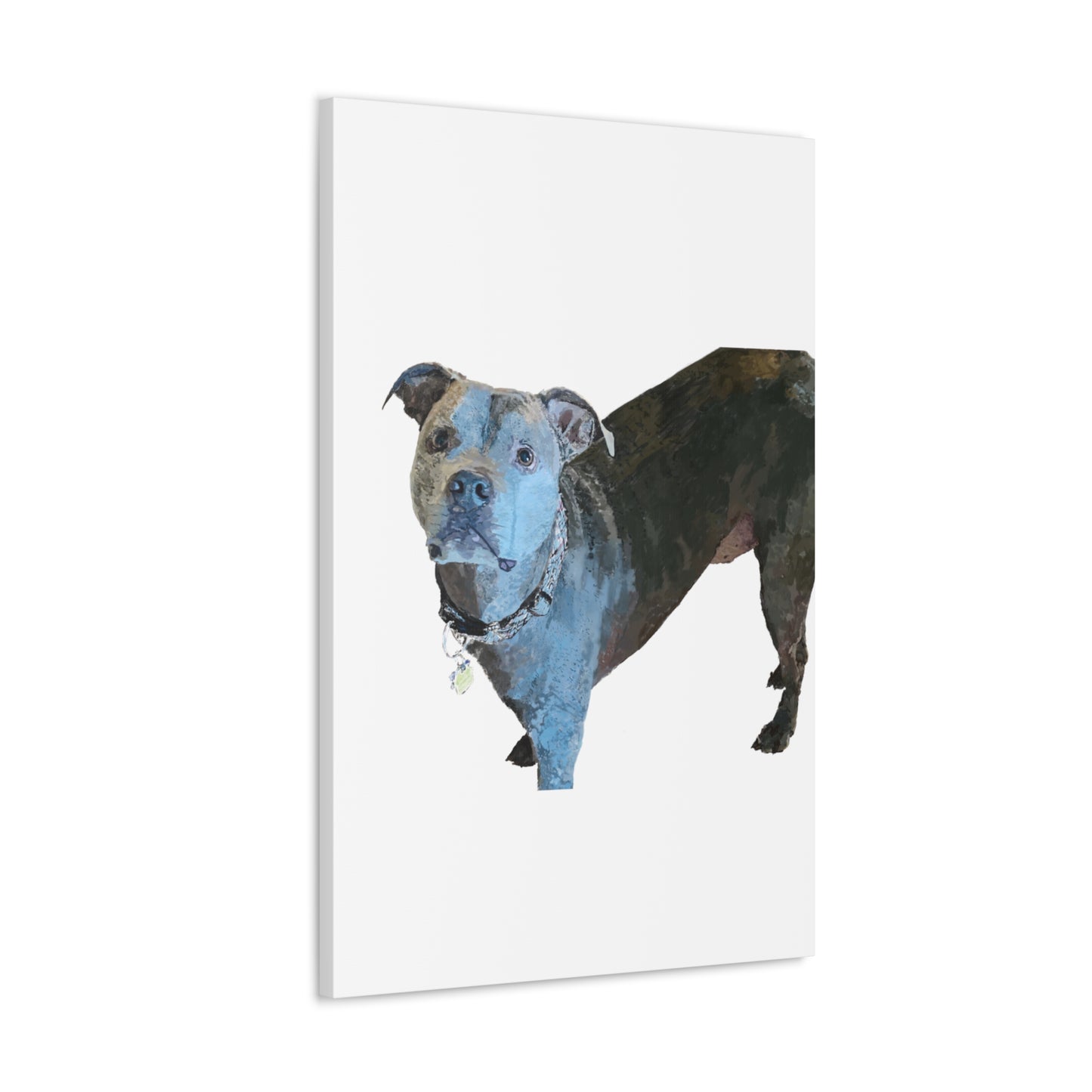 Envolturas de galería de lienzos de Pitbull “Diesel”