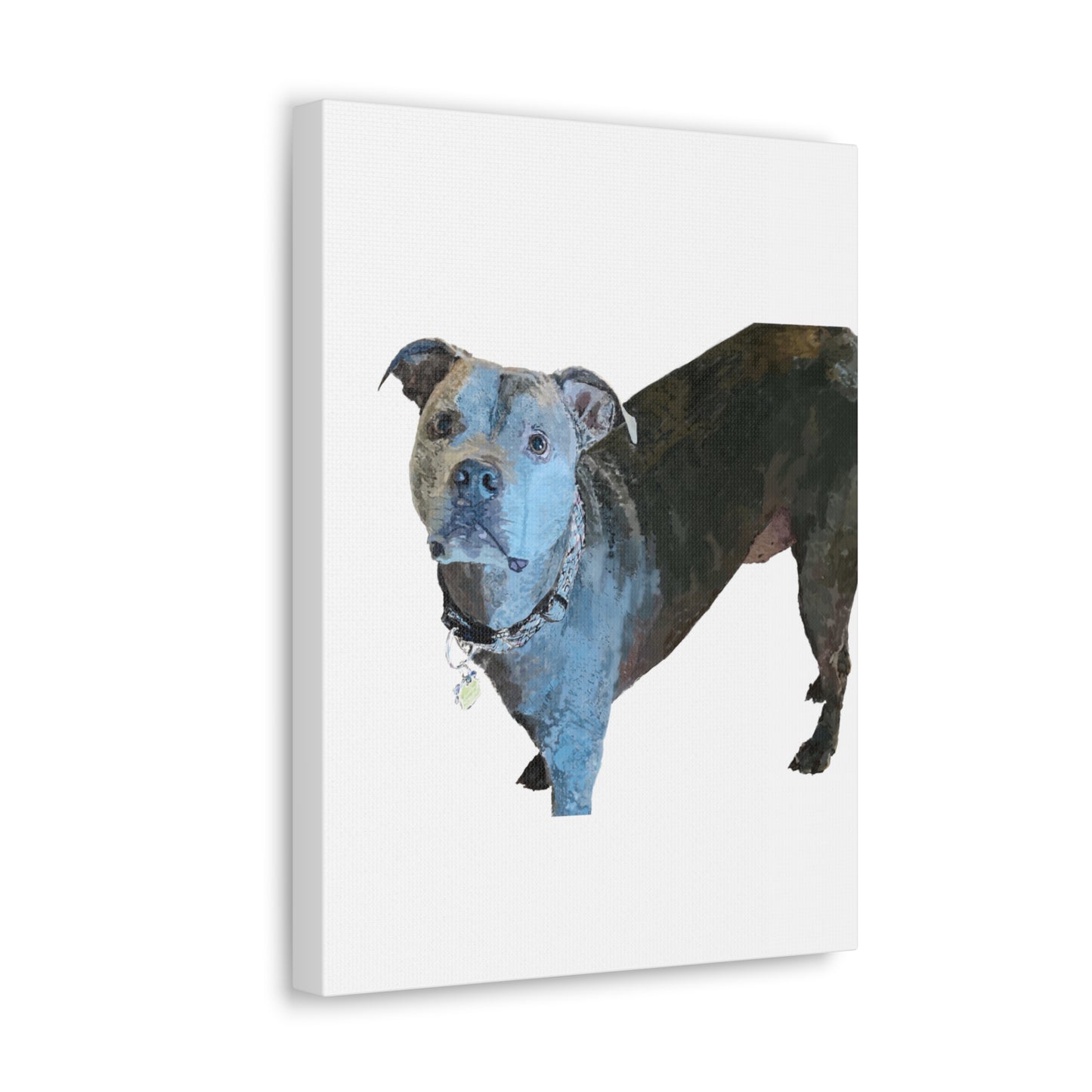 Envolturas de galería de lienzos de Pitbull “Diesel”