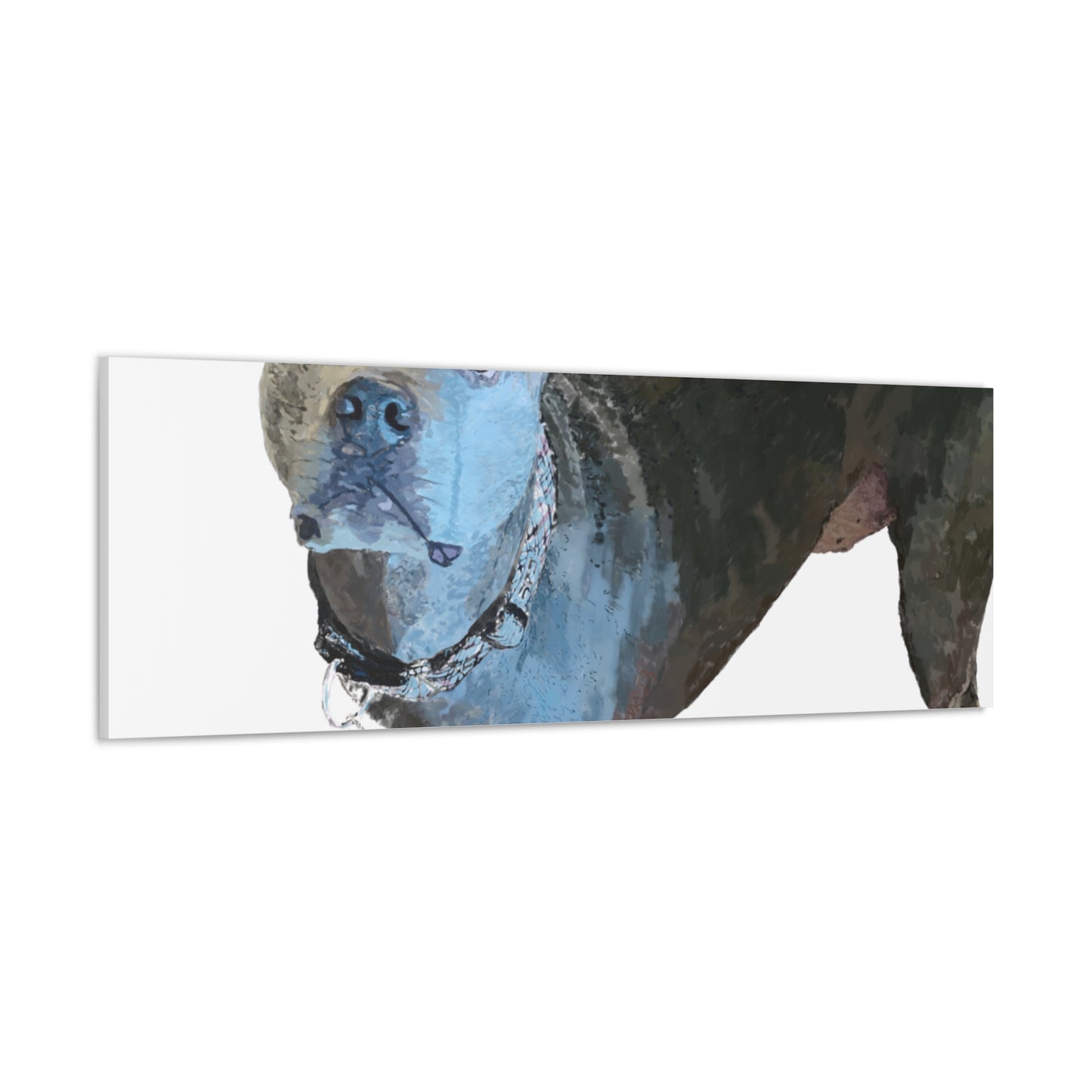 Envolturas de galería de lienzos de Pitbull “Diesel”