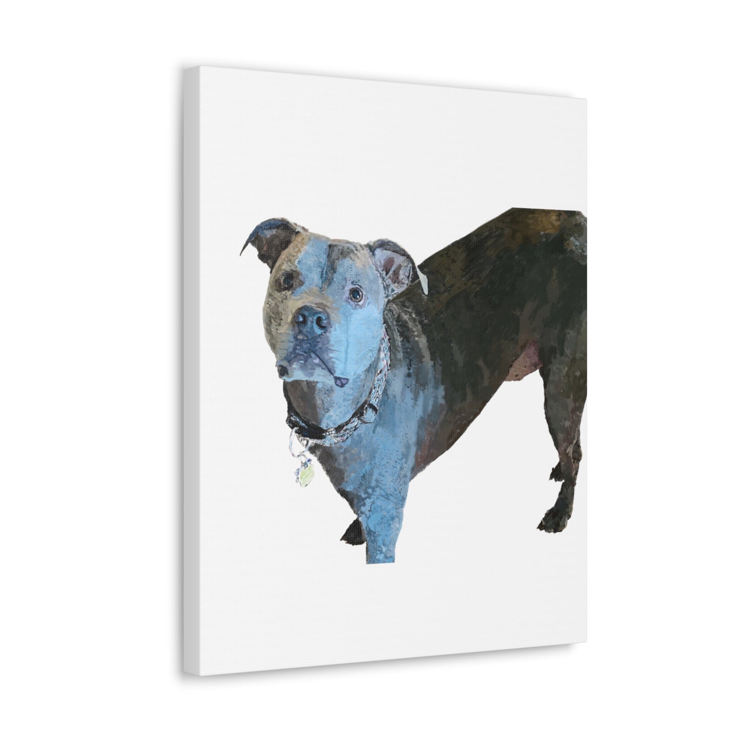 Envolturas de galería de lienzos de Pitbull “Diesel”