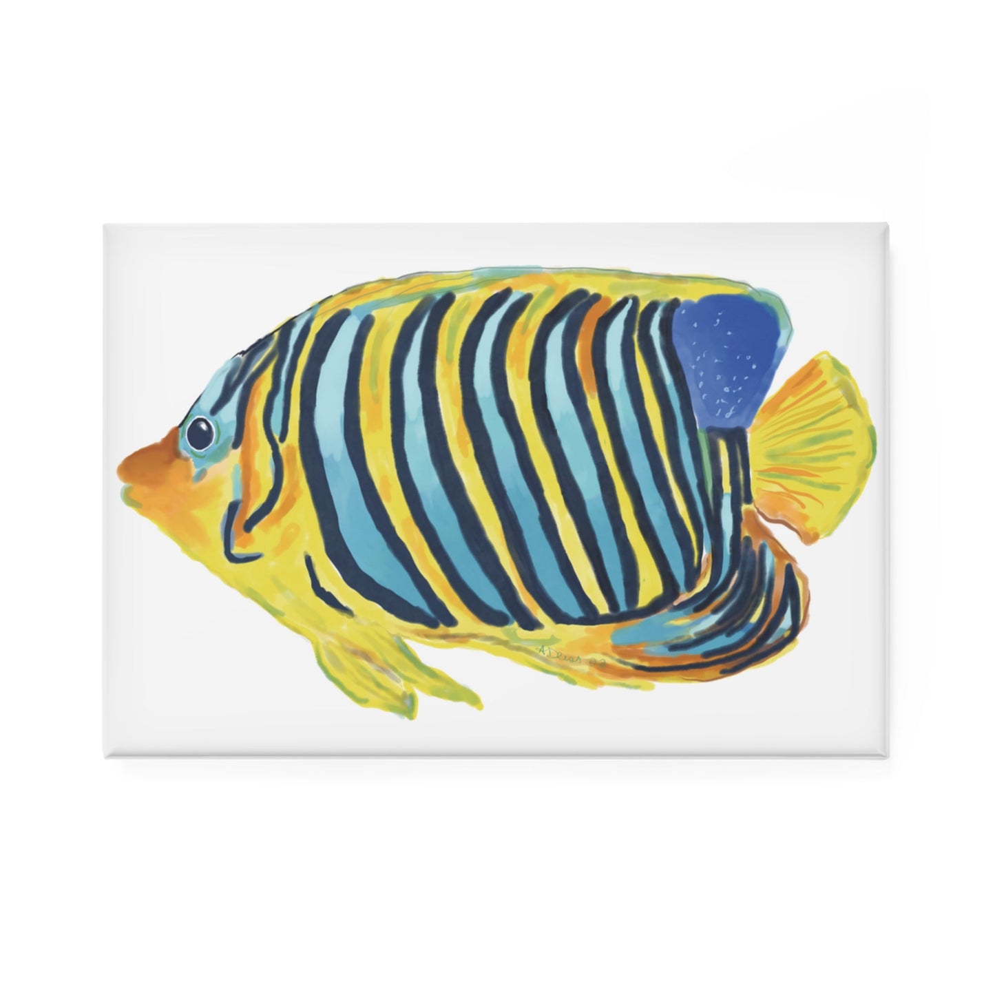 Vibrant Angel Fish Magnet Set - 1 pc & 10 pc - Blue Cava