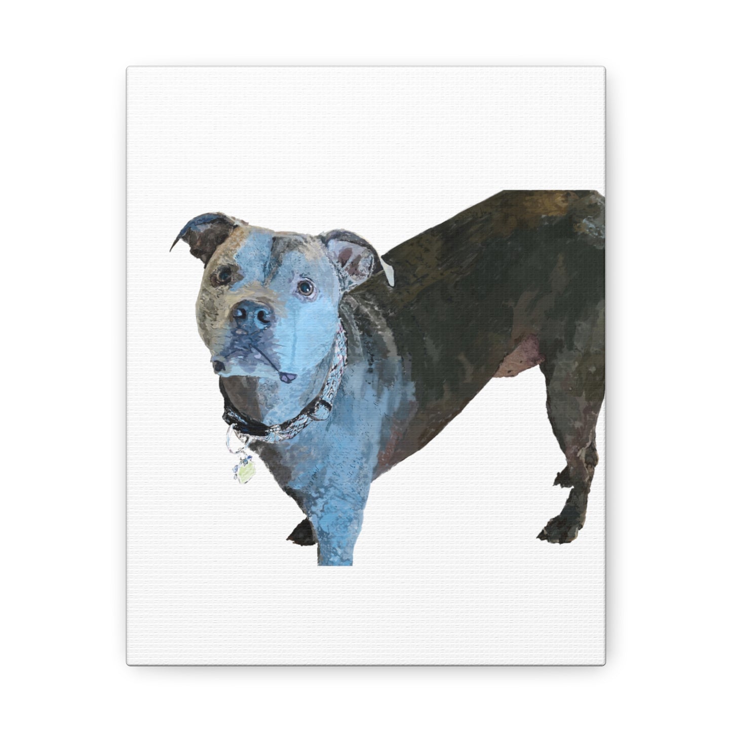 Envolturas de galería de lienzos de Pitbull “Diesel”