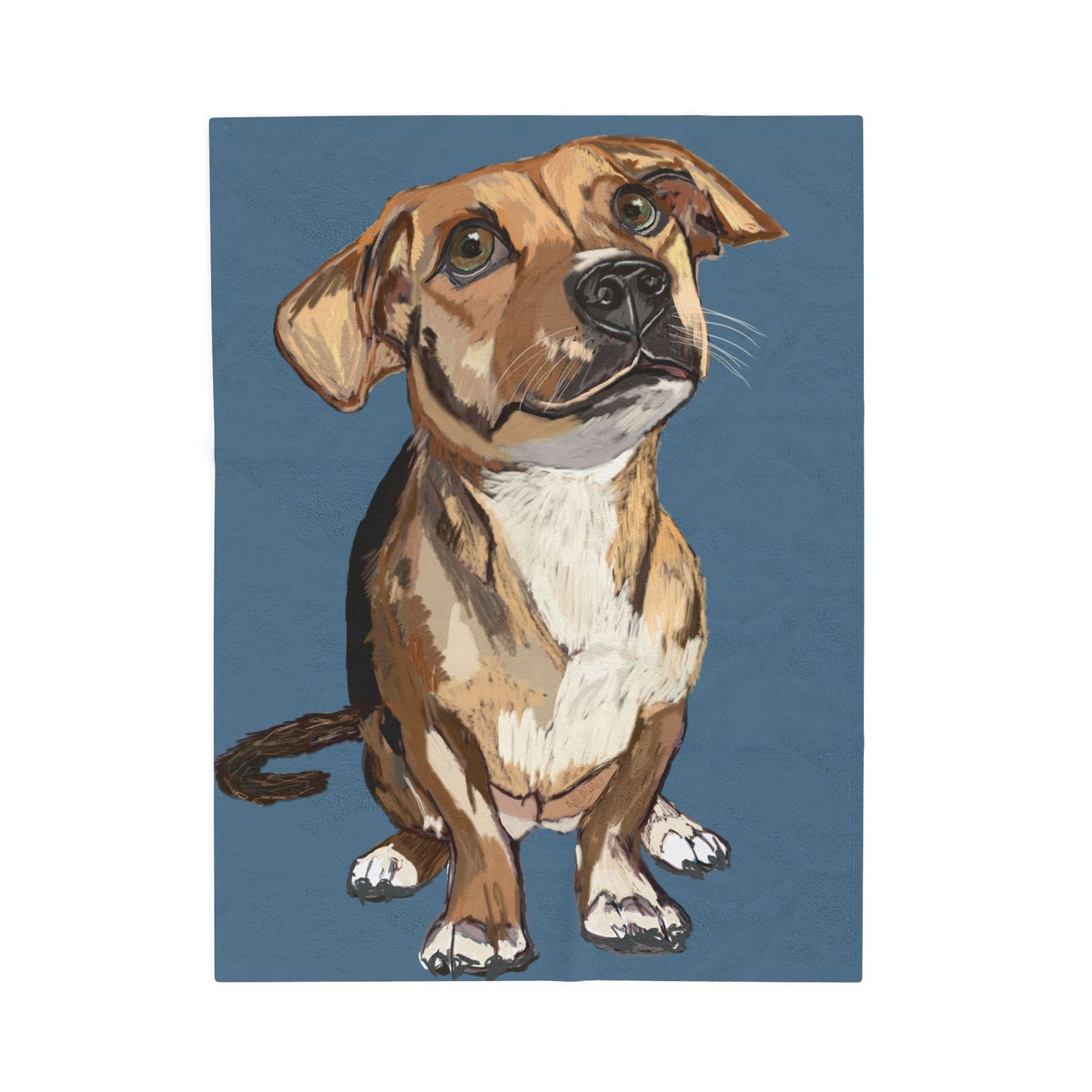 Adorable Dog - Inspired Velveteen Plush Blanket - Perfect for Pet Lovers - Blue Cava
