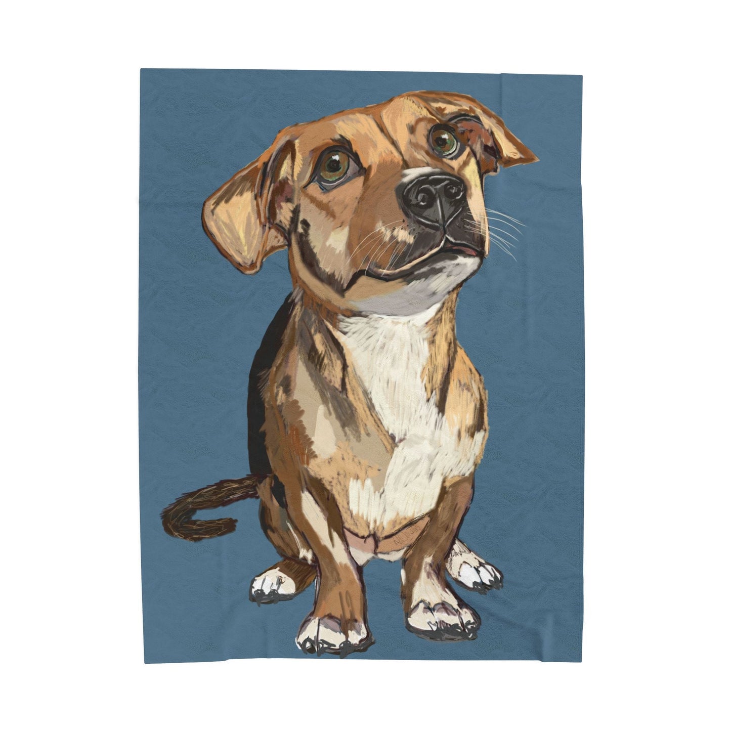 Adorable Dog - Inspired Velveteen Plush Blanket - Perfect for Pet Lovers - Blue Cava