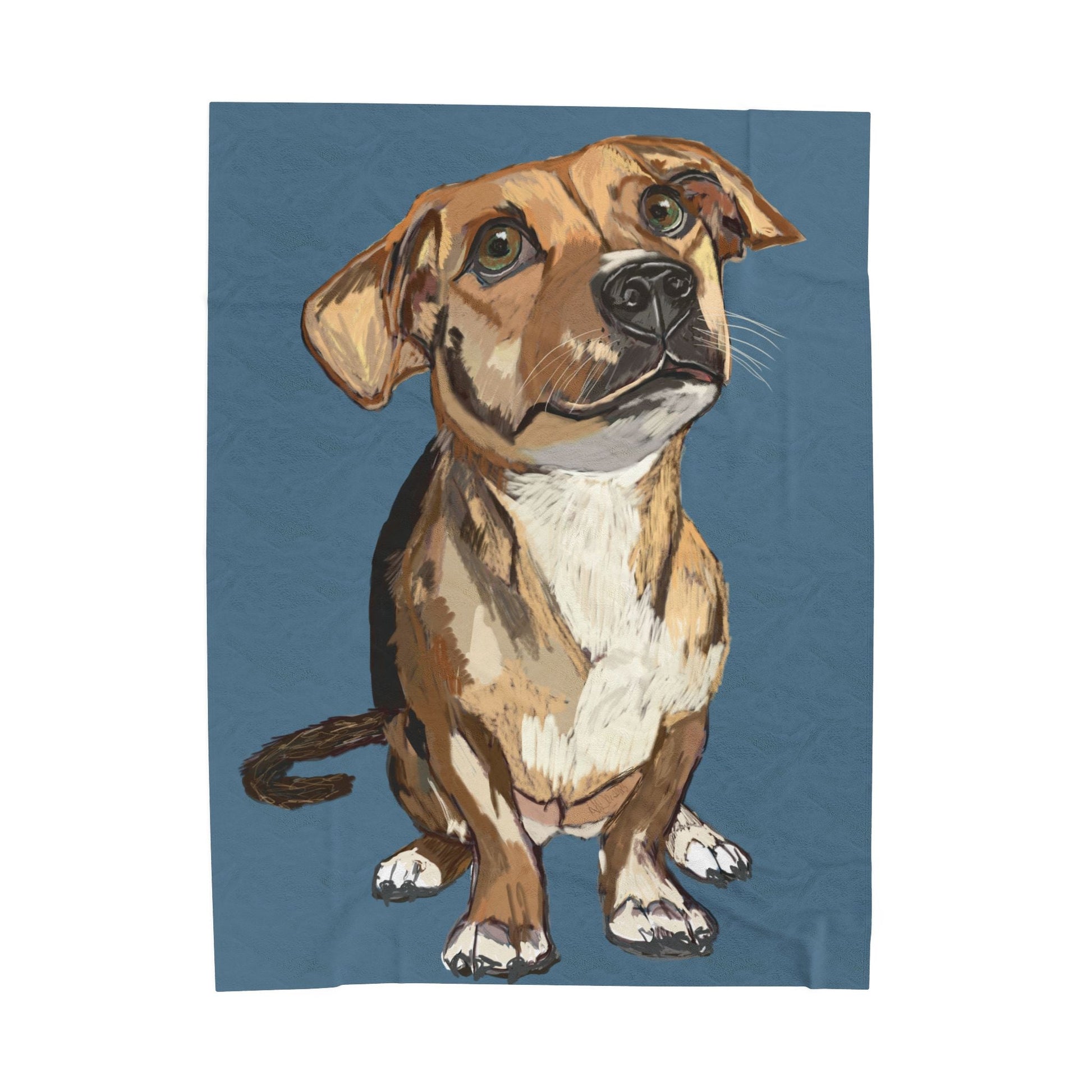 Adorable Dog - Inspired Velveteen Plush Blanket - Perfect for Pet Lovers - Blue Cava