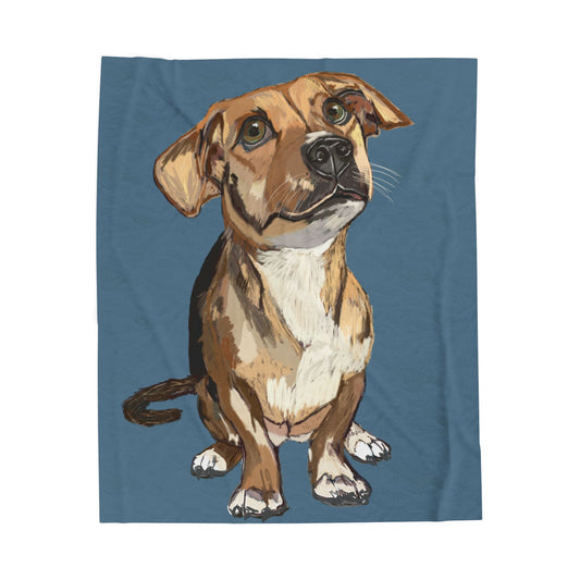 Adorable Dog - Inspired Velveteen Plush Blanket - Perfect for Pet Lovers - Blue Cava