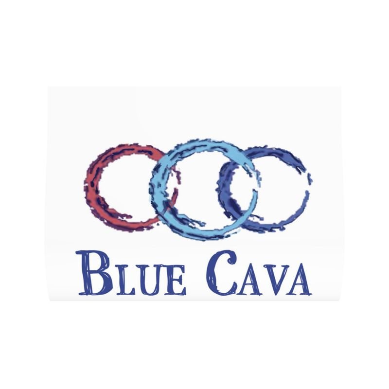 Sea Turtle Pillow Cover - Blue Cava