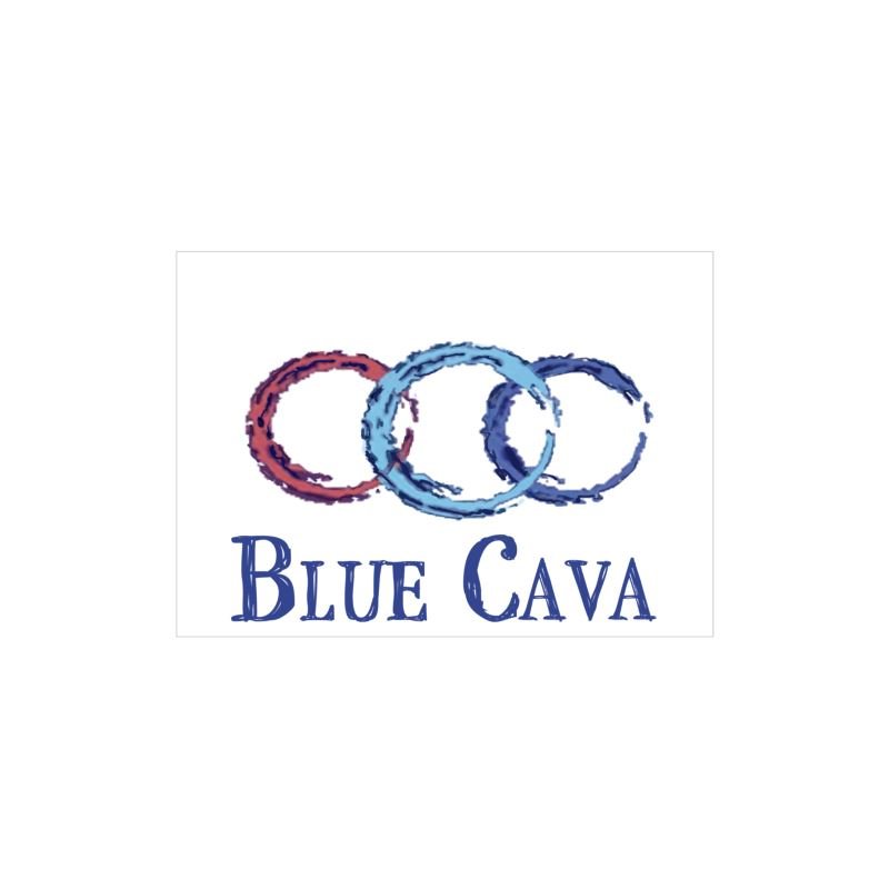 Sea Turtle Wash Cloth - Blue Cava