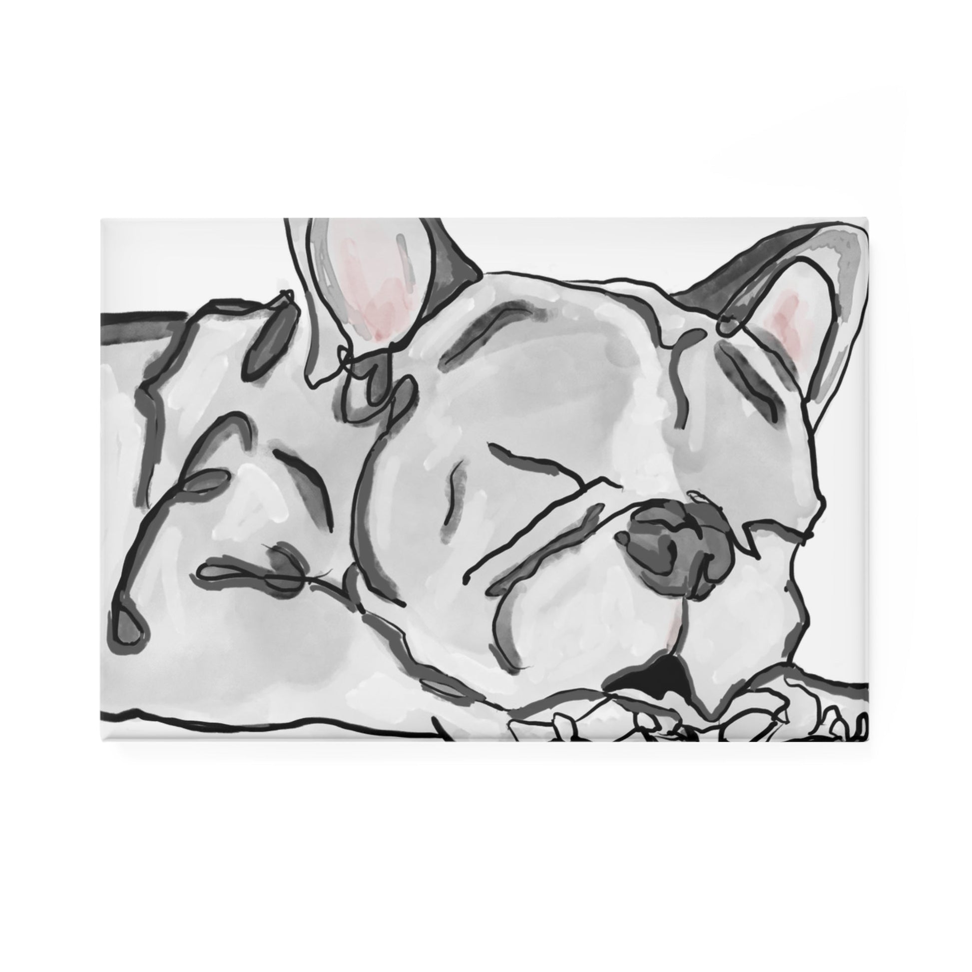 Sleeping French Bull Dog Button Magnets - Blue Cava
