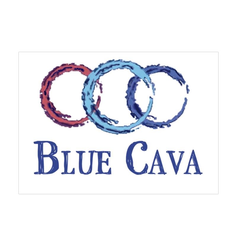 Starfish Picnic Blanket - Blue Cava