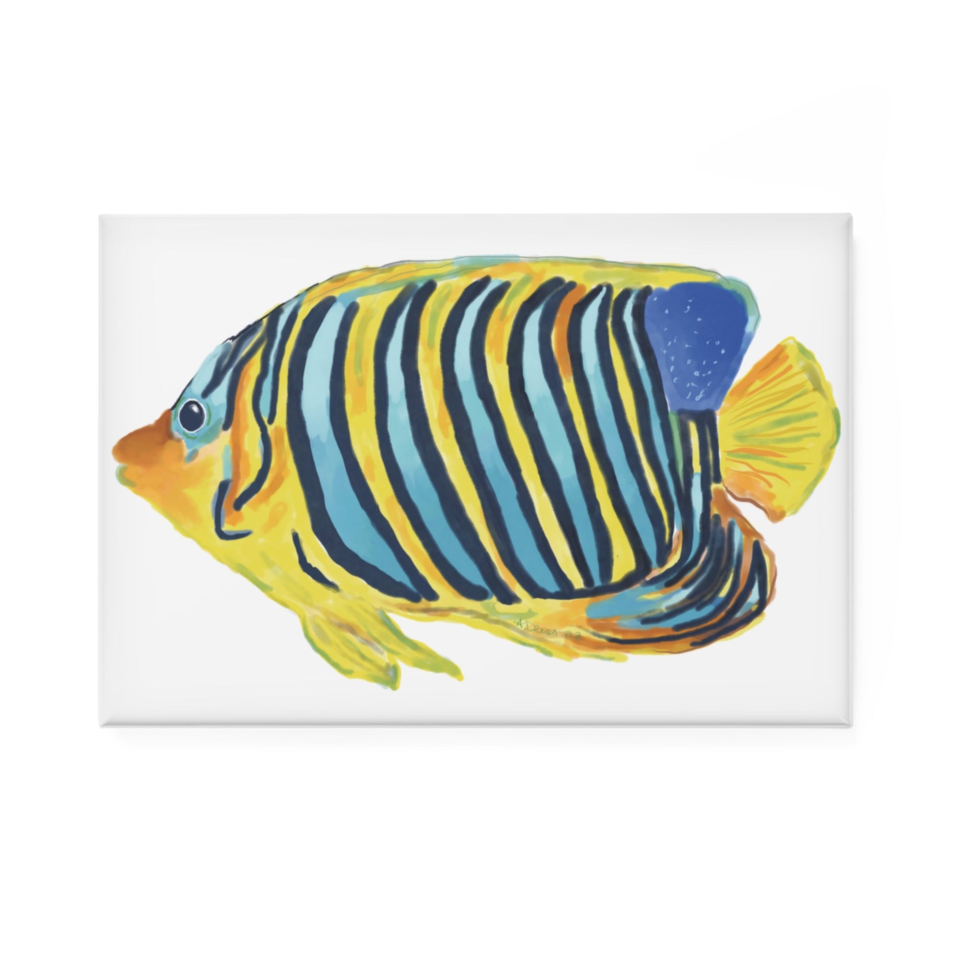 Vibrant Angel Fish Magnet Set - 1 pc & 10 pc - Blue Cava