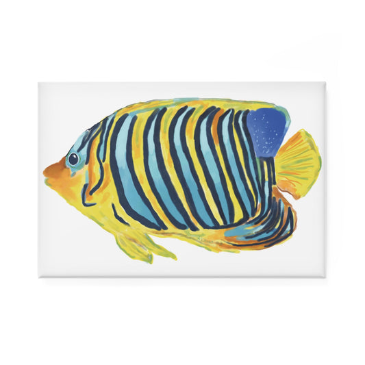 Vibrant Angel Fish Magnet Set - 1 pc & 10 pc - Blue Cava